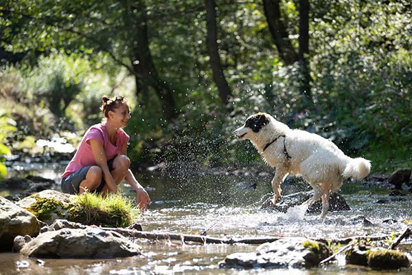 Woman & Dog